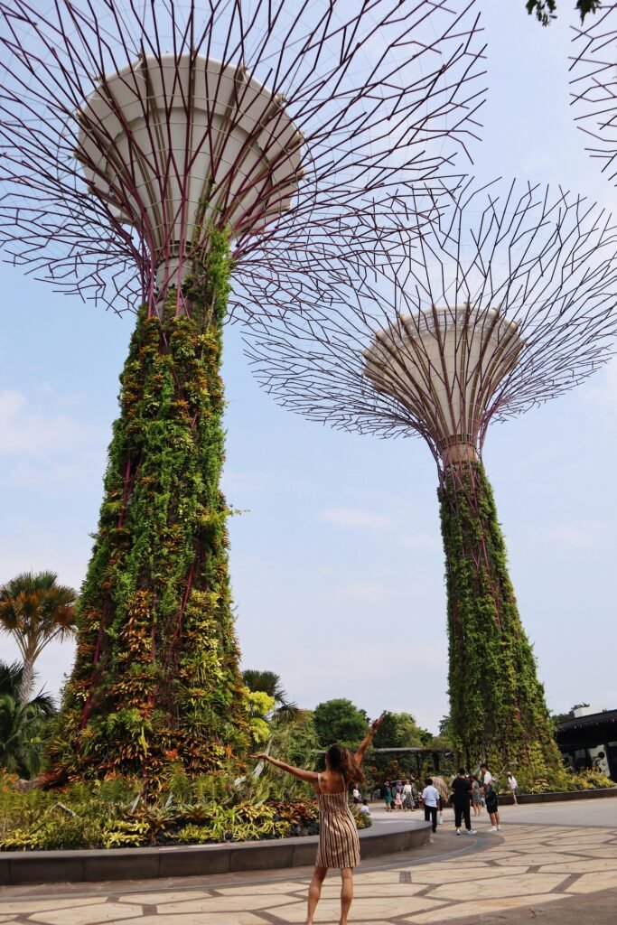 Explore the Supertree Grove at Gardens by the Bay, Singapore, a stunning example of vertical gardens and modern architecture.