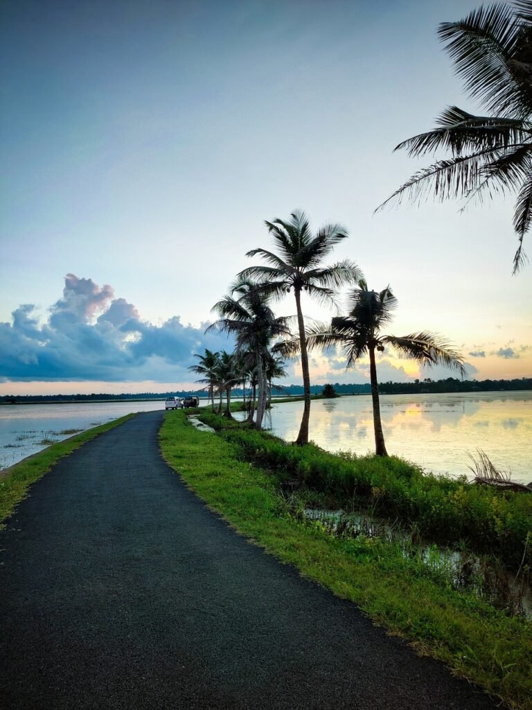 nature, road, landscape, path, trail, clouds, sky, sunset, twilight, dusk, sunlight, evening, scenery, kerala, kerala, kerala, kerala, kerala, kerala