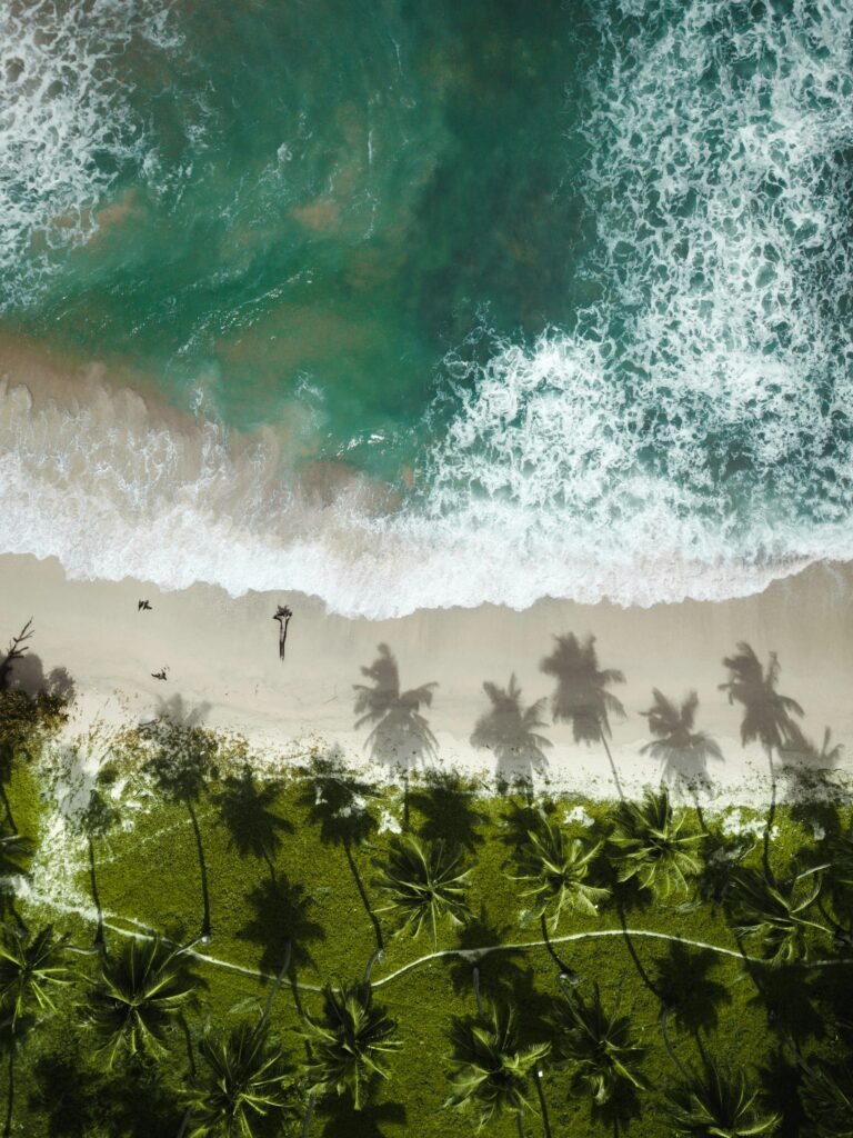 Stunning aerial view of a tropical beach with palm trees casting shadows on the sand in Campbell Bay, India.